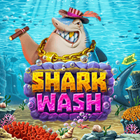 Shark Wash