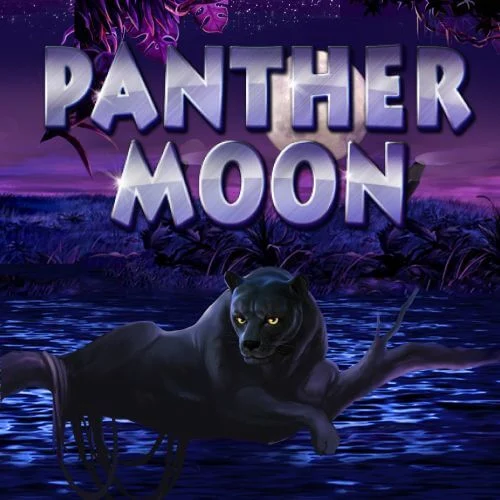 Panther Moon